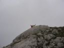 Picture_185.jpg