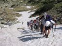 2008pirin_22.jpg