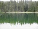 IMG_4428.JPG