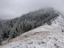 IMG_5869.JPG