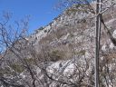 IMG_7591.JPG
