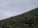 IMG_2471.JPG