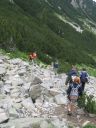 IMG_2519.JPG