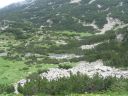 IMG_2523.JPG