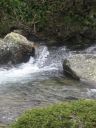 IMG_2534.JPG